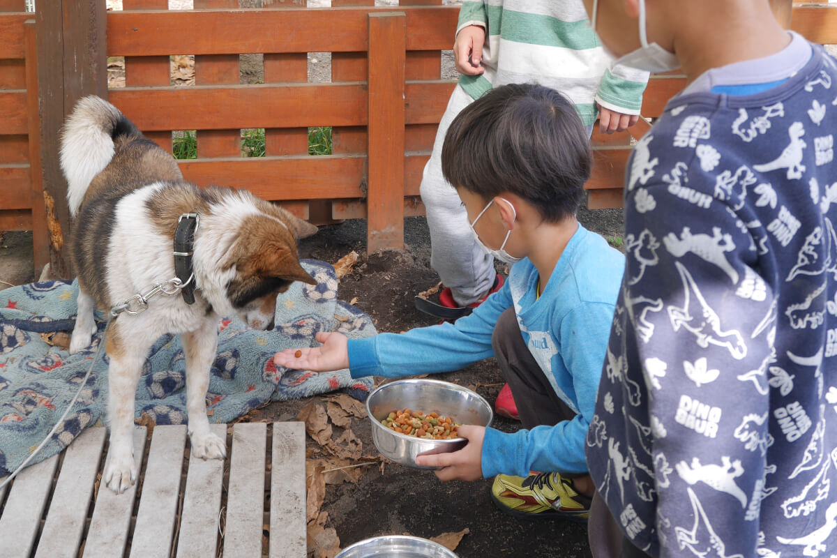 ありんこ保育園 保育園のこと